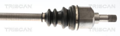 Cardan Triscan A/S 8540 10565