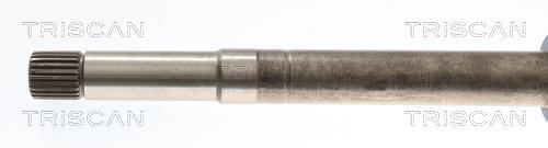 Cardan Triscan A/S ref. 8540 10566