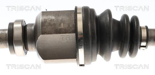 Cardan Triscan A/S ref. 8540 10566