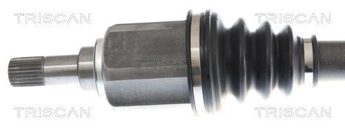 Cardã Triscan A/S 8540 10569