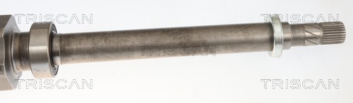 Cardán Triscan A/S ref. 8540 10574
