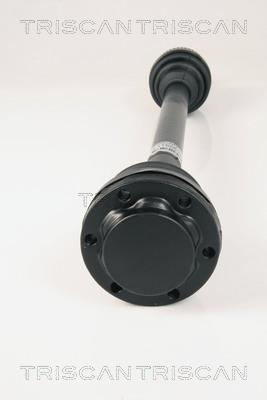 Cardan Triscan A/S ref. 8540 11524