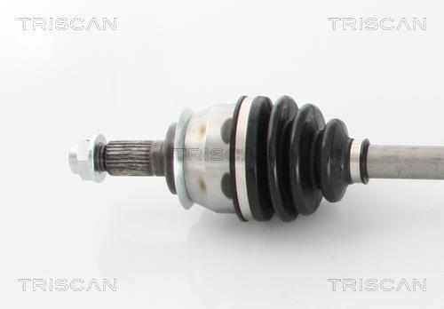 Cardan Triscan A/S ref. 8540 11546