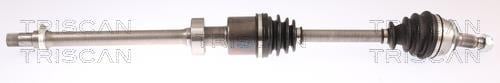 Cardan Triscan A/S ref. 8540 11547
