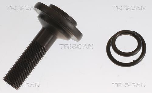 Cardan Triscan A/S ref. 8540 11577