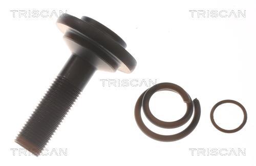 Cardan Triscan A/S ref. 8540 11583