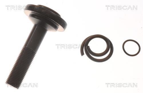 Cardan Triscan A/S 8540 11587