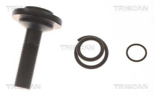 Cardã Triscan A/S ref. 8540 11589