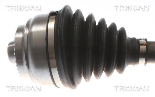 Cardã Triscan A/S ref. 8540 11591