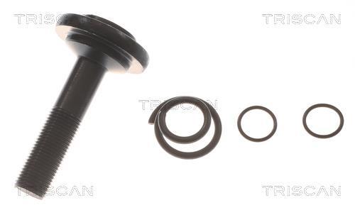 Cardã Triscan A/S ref. 8540 11591