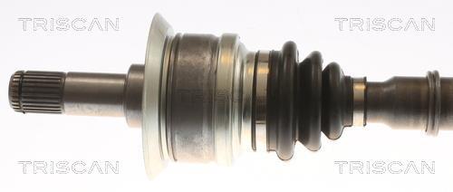Cardan Triscan A/S 8540 11597