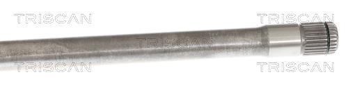 Cardã Triscan A/S ref. 8540 11600