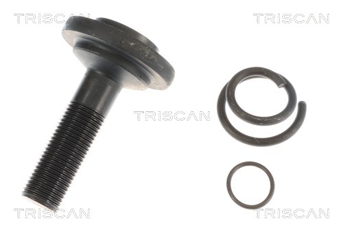 Cardã Triscan A/S 8540 11601
