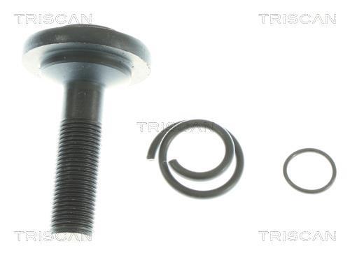 Cardã Triscan A/S 8540 11604