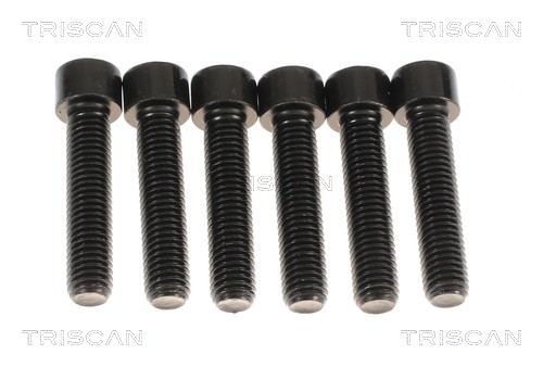 Cardan Triscan A/S ref. 8540 11605