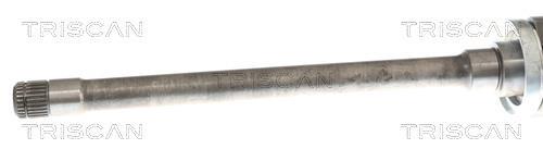 Cardan Triscan A/S ref. 8540 11606