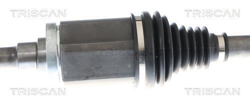 Cardan Triscan A/S ref. 8540 11606