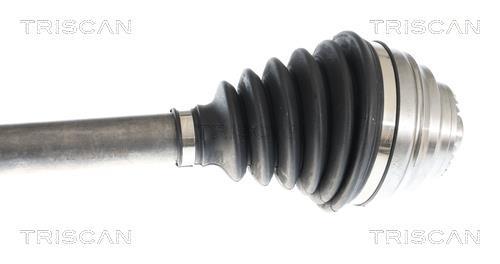 Cardan Triscan A/S ref. 8540 11606