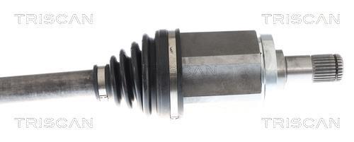Cardan Triscan A/S ref. 8540 11613