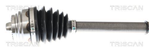 Cardã Triscan A/S 8540 11619