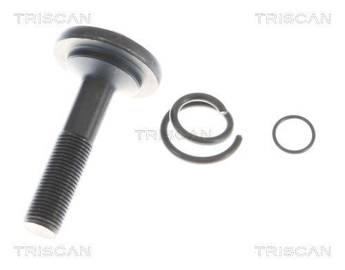 Cardã Triscan A/S 8540 11619