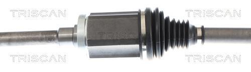 Cardã Triscan A/S 8540 11620