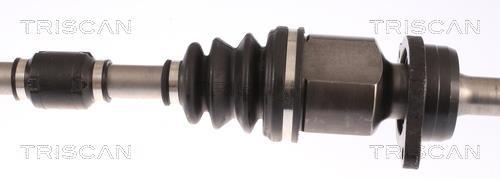 Cardan Triscan A/S 8540 13536
