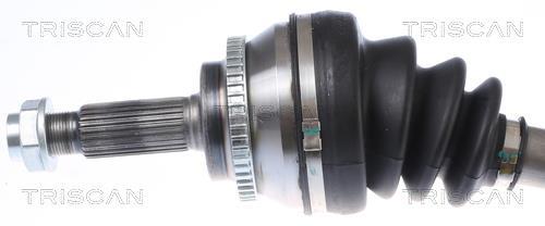Cardan Triscan A/S ref. 8540 13539