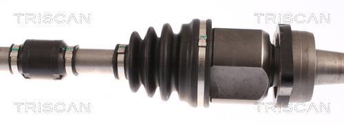 Cardan Triscan A/S ref. 8540 13540