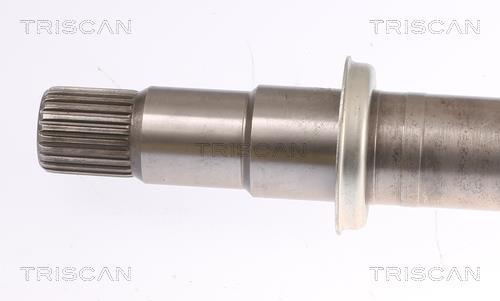 Cardan Triscan A/S 8540 13542