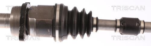 Cardan Triscan A/S 8540 13542