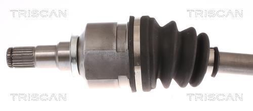 Cardan Triscan A/S 8540 13543