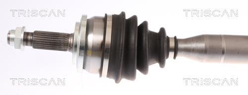 Cardan Triscan A/S ref. 8540 13545