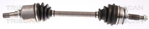 Cardan Triscan A/S 8540 13546