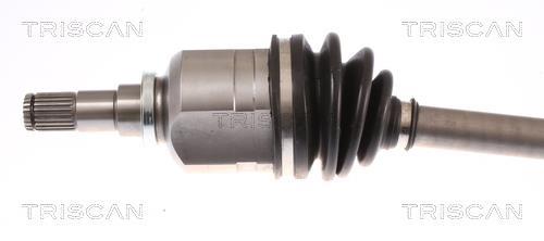 Cardan Triscan A/S 8540 13546