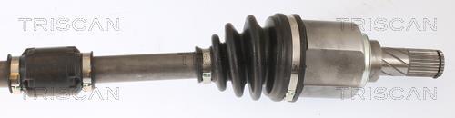 Cardan Triscan A/S ref. 8540 14569