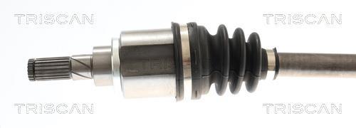 Cardan Triscan A/S ref. 8540 14585