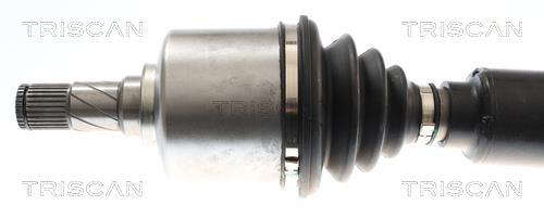 Cardan Triscan A/S 8540 14595