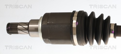 Cardã Triscan A/S 8540 14600
