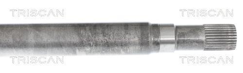 Cardan Triscan A/S 8540 14604