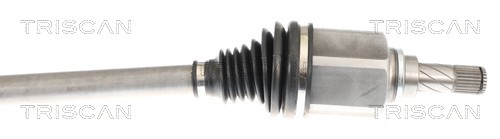 Cardan Triscan A/S 8540 14611