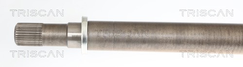 Cardán Triscan A/S 8540 14618