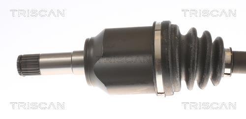 Cardan Triscan A/S 8540 15553