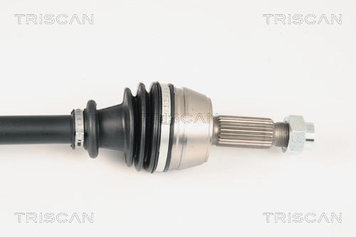 Cardan Triscan A/S ref. 8540 16584