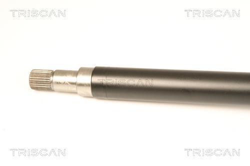 Cardan Triscan A/S ref. 8540 16599