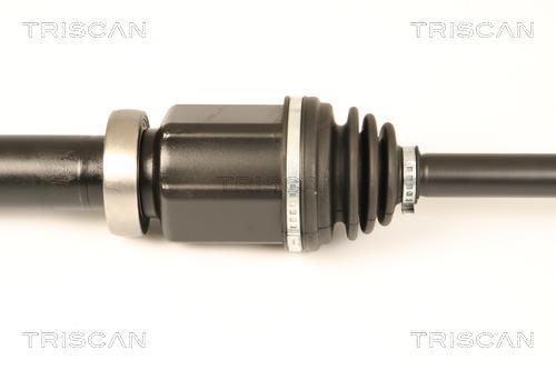 Cardan Triscan A/S ref. 8540 16599