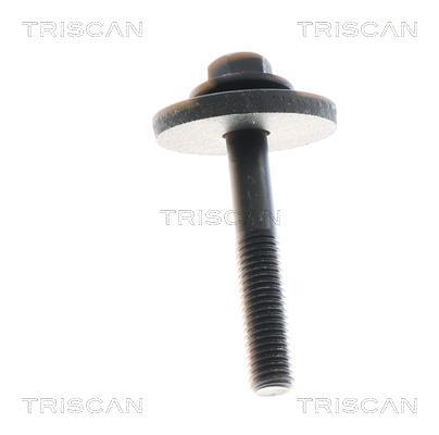 Cardan Triscan A/S ref. 8540 16610
