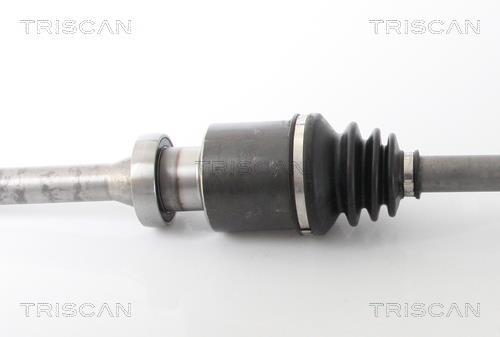 Cardan Triscan A/S ref. 8540 16613