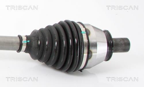 Cardan Triscan A/S ref. 8540 16617