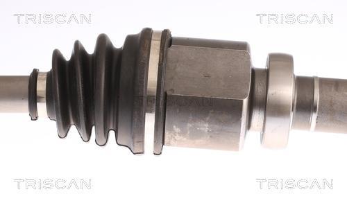 Cardã Triscan A/S 8540 16621
